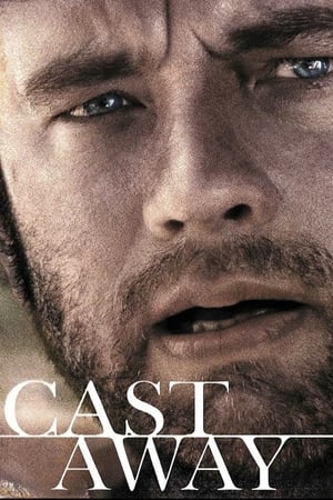 Cast Away 2000 Hindi Dual Audio | 4K Ultra HD BluRay [1GB] ESubs