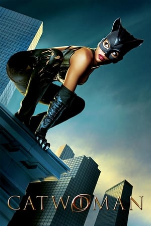 Catwoman (2004) Hindi Dual Audio | 4K Ultra HD BDRip 400MB