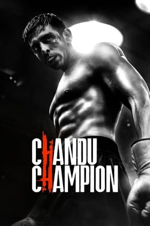 Chandu Champion 2024 Hindi HDRip | 4K Ultra HD – 480p – 1080p