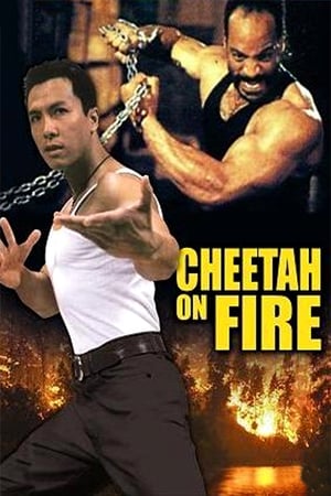 Cheetah on Fire 1992 Hindi Dual Audio | 4K Ultra HD Web-DL 290MB