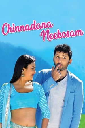 Chinnadana Nee Kosam 2014 Hindi Dual Audio | 4K Ultra HD BluRay [1.5GB]