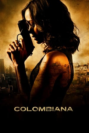 Colombiana (2011) Hindi Dual Audio | 4K Ultra HD BluRay [1.1GB]