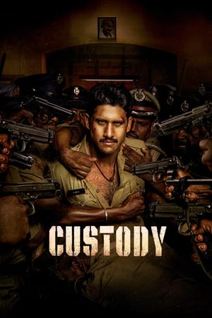 Custody 2023 Hindi (ORG) Dubbed HDTVRip | 4K Ultra HD – 480p