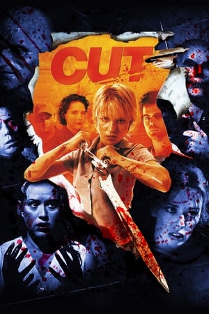 Cut (2000) Hindi Dual Audio | 4K Ultra HD BluRay [1.1GB]