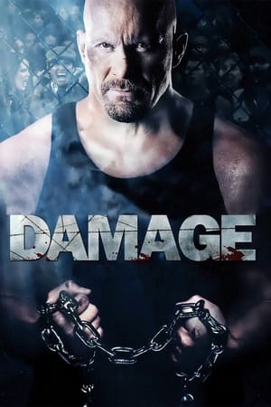 Damage 2009 Hindi Dual Audio | 4K Ultra HD BluRay [970MB]