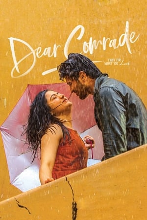 Dear Comrade 2019 (Hindi -Telugu) Dual Audio | 4K Ultra HD UnCut HDRip [1.4GB]
