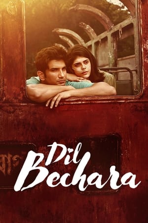 Dil Bechara (2020) Hindi Movie | 4K Ultra HD HDRip - [350MB]