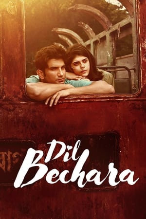 Dil Bechara 2020 Hindi Audio WEB-DL | 4K Ultra HD