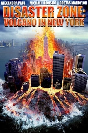 Disaster Zone Volcano in New York 2006 Hindi Dual Audio | 4K Ultra HD HDRip 300MB