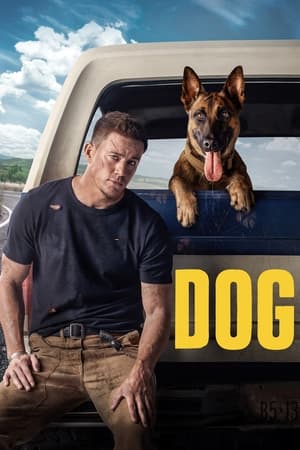 Dog (2022) Hindi Dual Audio HDRip | 4K Ultra HD – 480p