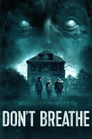 Don't Breathe (2016) Hindi Dual Audio | 4K Ultra HD BluRay 300MB
