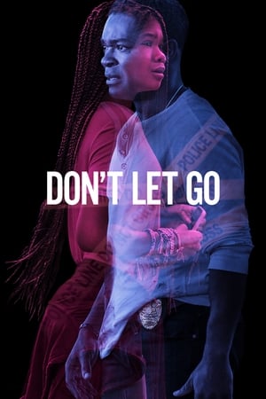 Don’t Let Go (2019) Hindi Dual Audio | 4K Ultra HD HDRip [890MB]