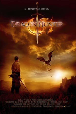 Dragon Hunter (2009) Hindi Dual Audio | 4K Ultra HD BluRay 300MB