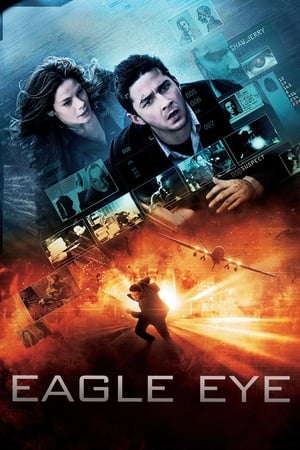 Eagle Eye (2008) Hindi Dual Audio | 4K Ultra HD BluRay [1.3GB] ESubs