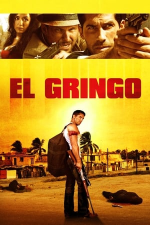 El Gringo (2012) Hindi Dual Audio | 4K Ultra HD HDRip [900MB]