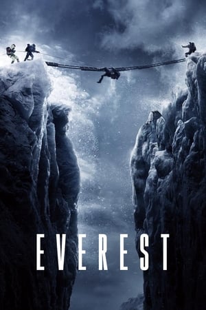 Everest (2015) Hindi Dual Audio | 4K Ultra HD BluRay [1.3GB]