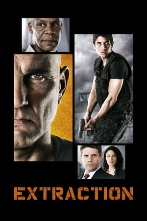 Extraction 2013 Hindi Dual Audio | 4K Ultra HD WebRip 330MB
