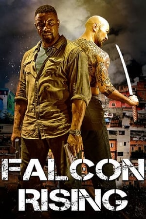 Falcon Rising (2014) Hindi Dual Audio | 4K Ultra HD BluRay 300MB