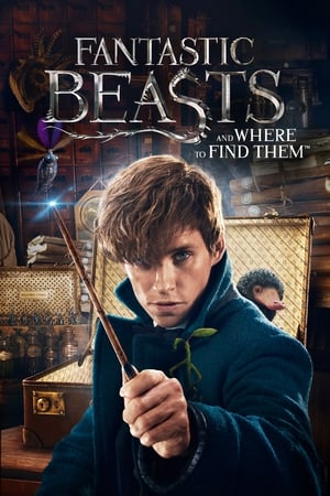 Fantastic Beasts and Where to Find Them 2016 Dual Audio (Hindi) BluRay | 4K Ultra HD [1.1 GB]