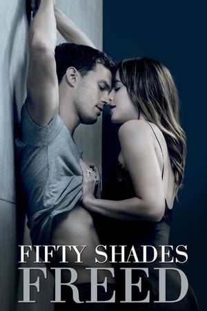 Fifty Shades Freed (2018) Hindi Dual Audio | 4K Ultra HD BluRay [1GB]
