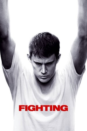 Fighting (2009) Hindi Dual Audio | 4K Ultra HD BluRay 450MB