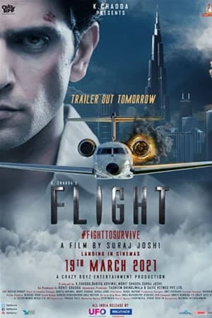 Flight 2021 Hindi Movie | 4K Ultra HD HDRip – [300MB]