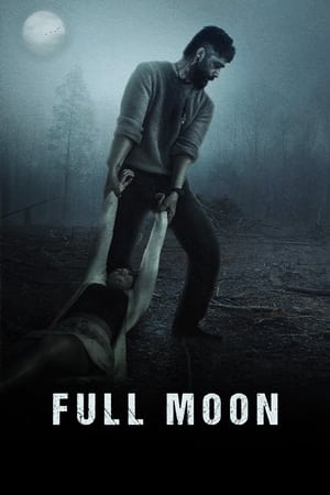 Full Moon 2023 Punjabi HDRip | 4K Ultra HD – 480p