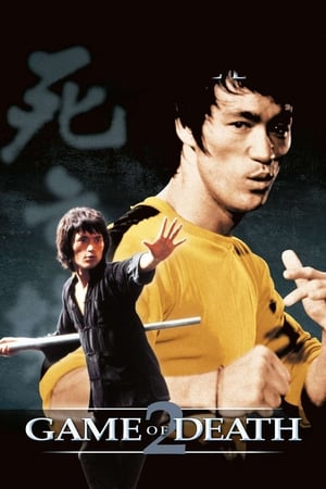 Game of Death II (1981) Dual Audio Hindi Movie | 4K Ultra HD BluRay - 1.1GB