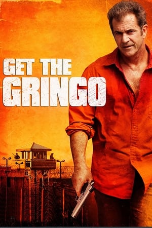 Get the Gringo (2012) Hindi Dual Audio | 4K Ultra HD BluRay 300MB
