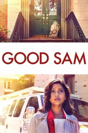 Good Sam 2019 Hindi Dual Audio | 4K Ultra HD Web-DL 300MB