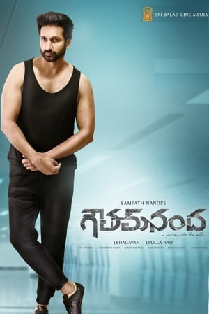 Goutham Nanda (2017) (Hindi – Telugu) Dual Audio UnCut HDRip | 4K Ultra HD – 480p