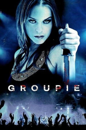 Groupie (2010) Hindi Dual Audio | 4K Ultra HD BluRay [1.1GB]