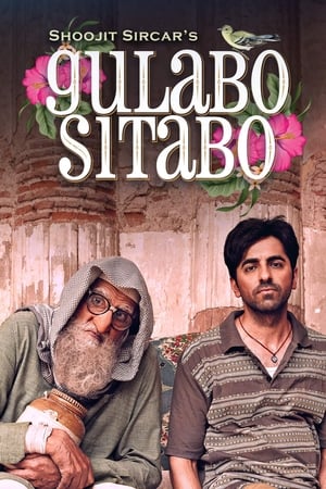 Gulabo Sitabo 2020 Hindi Movie | 4K Ultra HD HDRip x264 [980MB]
