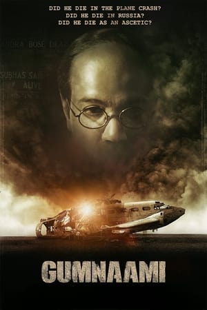 Gumnaami (2019) Hindi Movie | 4K Ultra HD HDRip - [400MB]