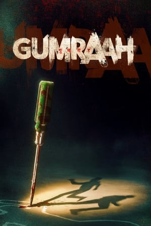 Gumraah 2023 Hindi Web-DL | 4K Ultra HD | 480p