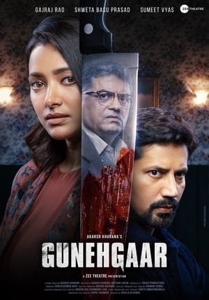 Gunehgaar (2023) Hindi HDRip | 4K Ultra HD | 480p