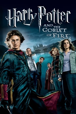 Harry Potter and the Goblet of Fire 2005 Hindi Dual Audio WEB-DL | 4K Ultra HD