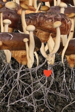 Heaven (2022) Hindi Movie HDRip | 4K Ultra HD – 480p