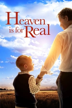 Heaven Is for Real (2014) Hindi Dual Audio | 4K Ultra HD BluRay [850MB] ESubs