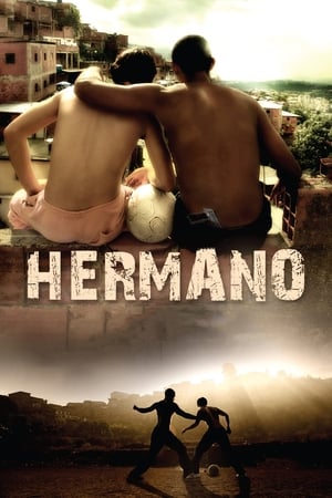 Hermano 2010 Hindi Dual Audio | 4K Ultra HD BluRay 300MB