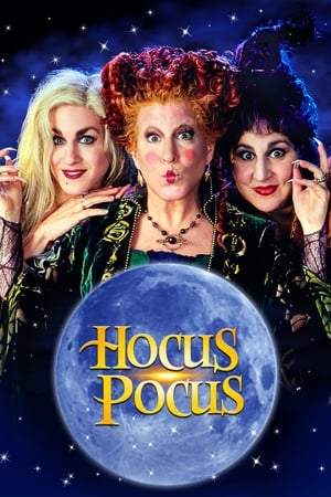 Hocus Pocus 1993 Hindi Dual Audio | 4K Ultra HD BluRay 320MB