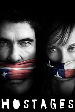 Hostages (2019) Hindi Web Series HDRip | 4K Ultra HD | 480p [Complete]