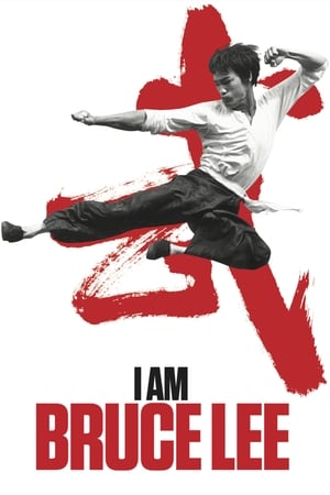 I Am Bruce Lee 2012 Hindi Dual Audio Bluray | 4K Ultra HD [850MB] Download