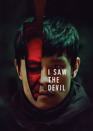 I Saw the Devil 2010 Hindi Dual Audio HDRip | 4K Ultra HD – 480p