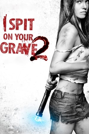 I Spit on Your Grave 2 (2013) Hindi Dual Audio HDRip | 4K Ultra HD – 480p