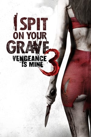 I Spit on Your Grave: Vengeance Is Mine (2015) Hindi Dual Audio HDRip | 4K Ultra HD – 480p