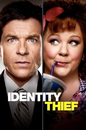 Identity Thief (2013) Hindi Dual Audio | 4K Ultra HD BluRay [1GB]