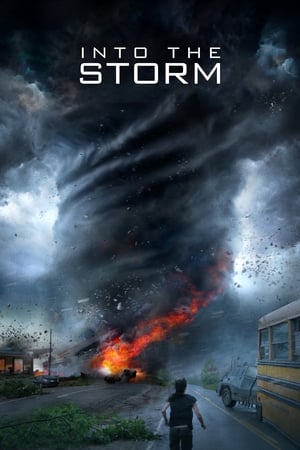 Into the Storm (2014) Hindi Dual Audio | 4K Ultra HD BluRay [1GB]