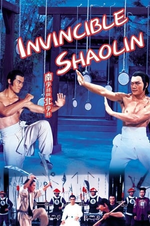 Invincible Shaolin 1978 Hindi Dual Audio | 4K Ultra HD BluRay 300MB