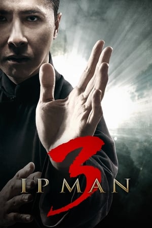 Ip Man 3 (2015) Hindi Dual Audio | 4K Ultra HD HDRip [900MB]